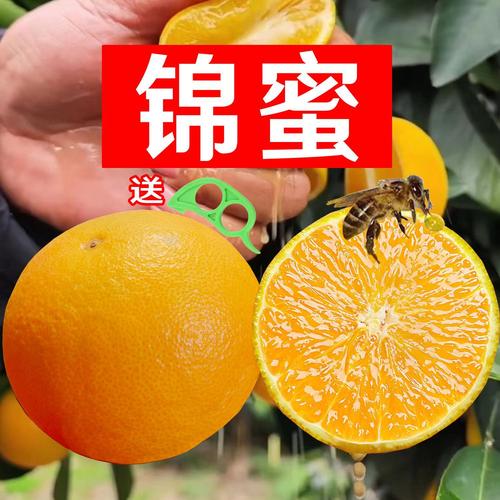 麻阳锦蜜冰糖橙子新鲜甜橙非赣南永兴递归脐橙子果冻橙现摘5/10斤